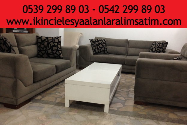 ikincielesyaalanlarankara